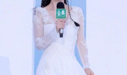 谢娜巡演被骂：非专业歌手边界感在哪？网友吵翻了