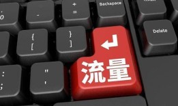 大学教授到“躺平”网红带货失败自嘲是个体户听听储殷的经历